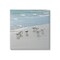 Stupell Industries Sandpipers Flock Beach Shore Canvas Wall Art